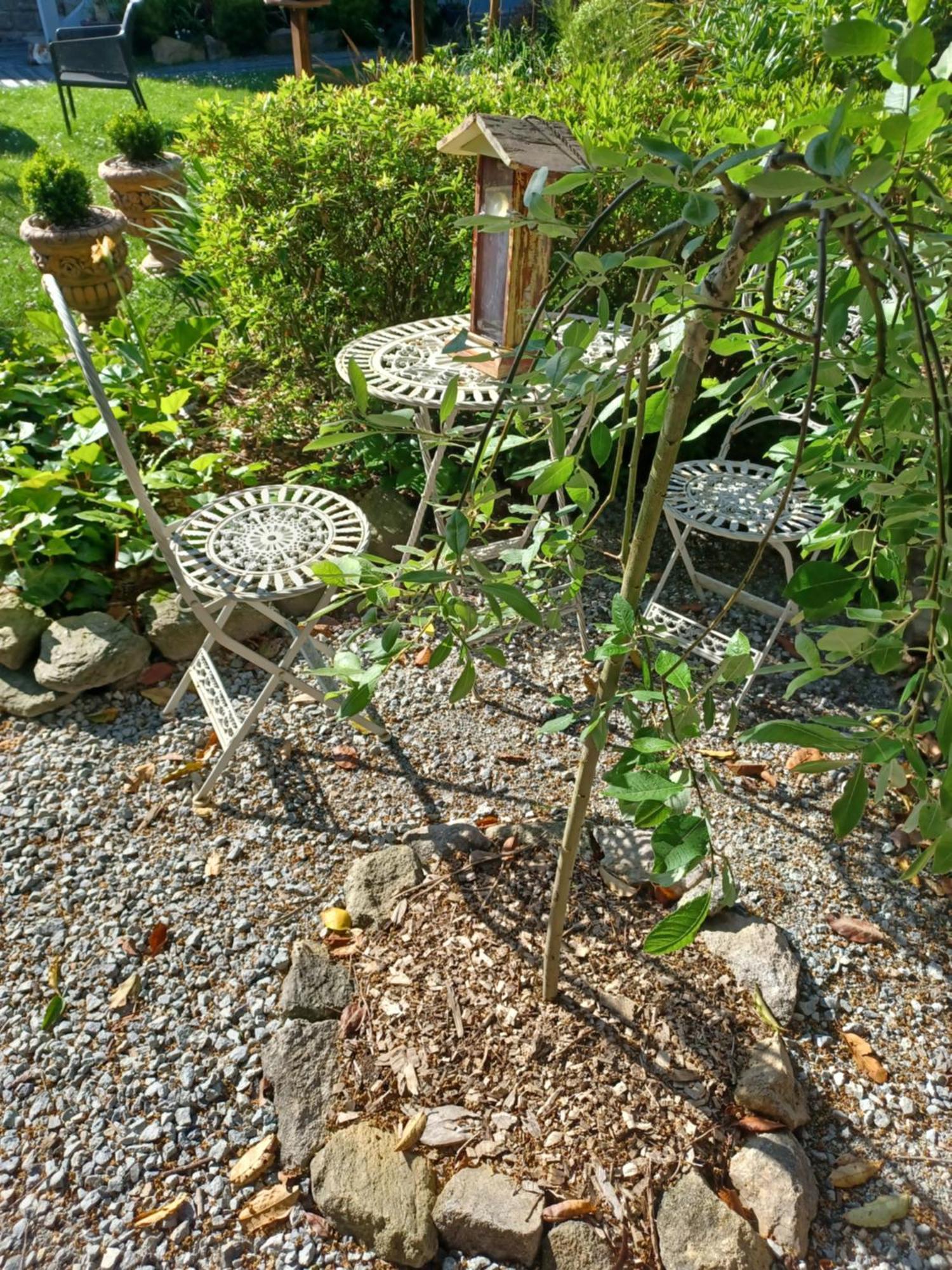 Le Banellou Bed & Breakfast Quimper Eksteriør bilde