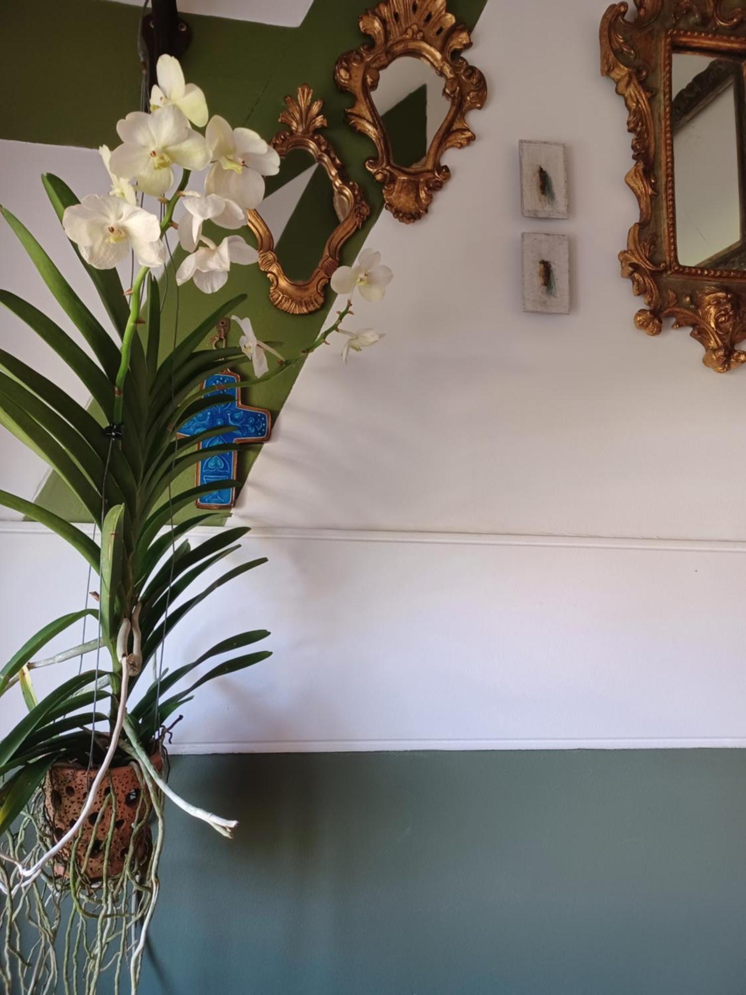 Le Banellou Bed & Breakfast Quimper Eksteriør bilde