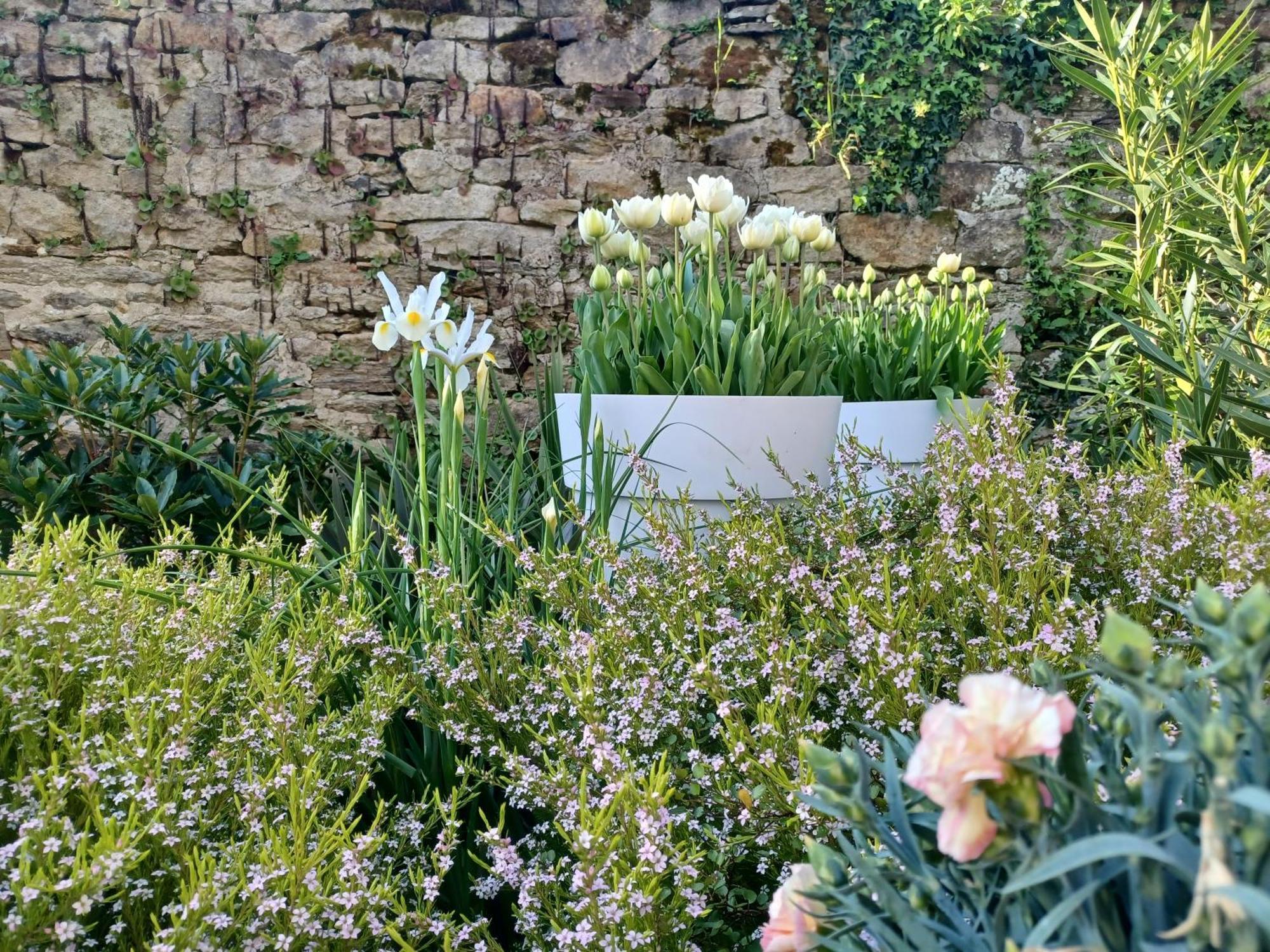 Le Banellou Bed & Breakfast Quimper Eksteriør bilde